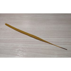 GOLDEN KASTURI